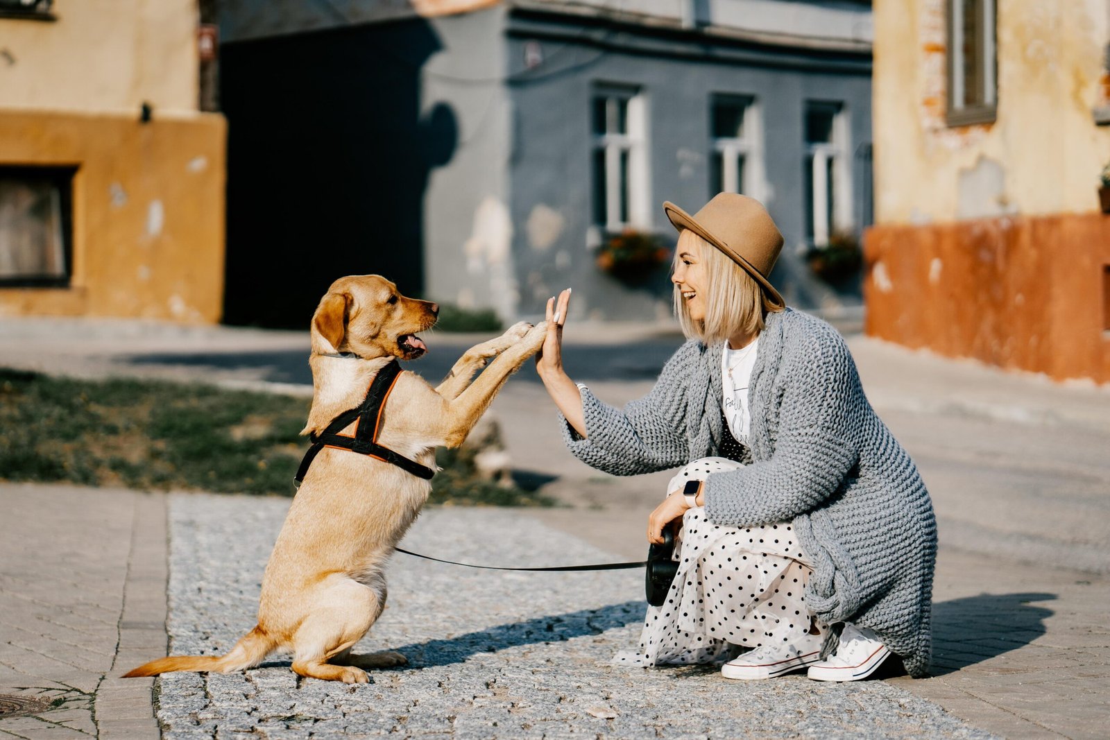 Are Some Dogs Just Smarter? What Science Says About Your Dog’s Learning Style